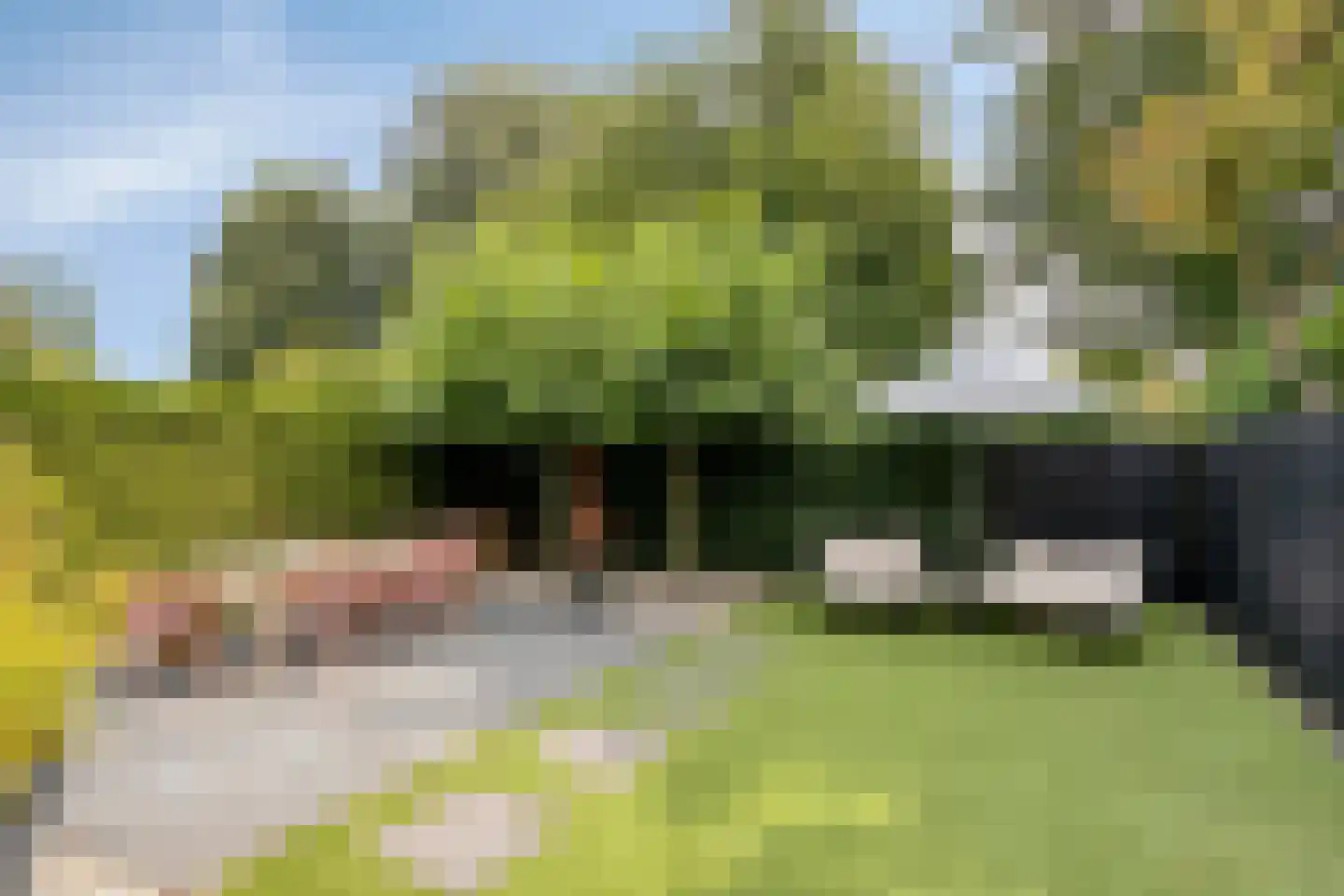 Iepenlaan 47 Duiven thumbnail 4