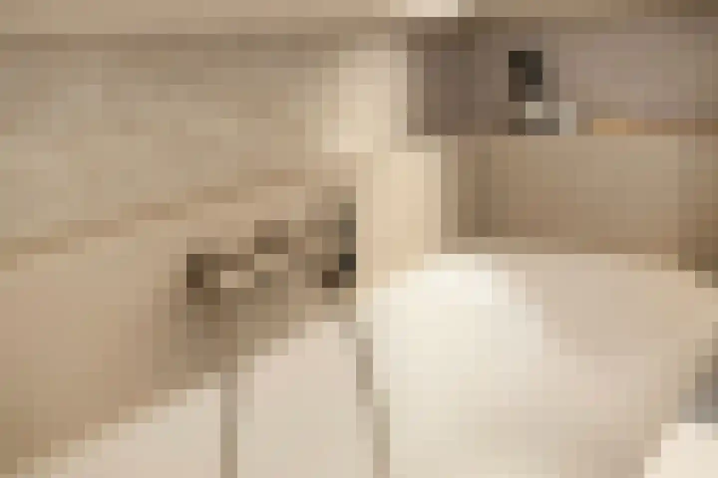 Iepenlaan 47 Duiven thumbnail 44