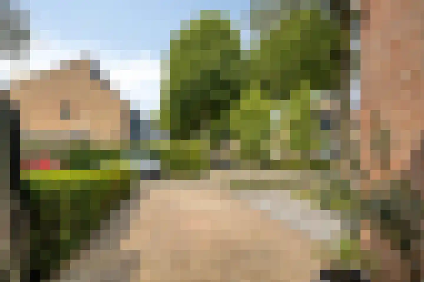 Iepenlaan 47 Duiven thumbnail 57