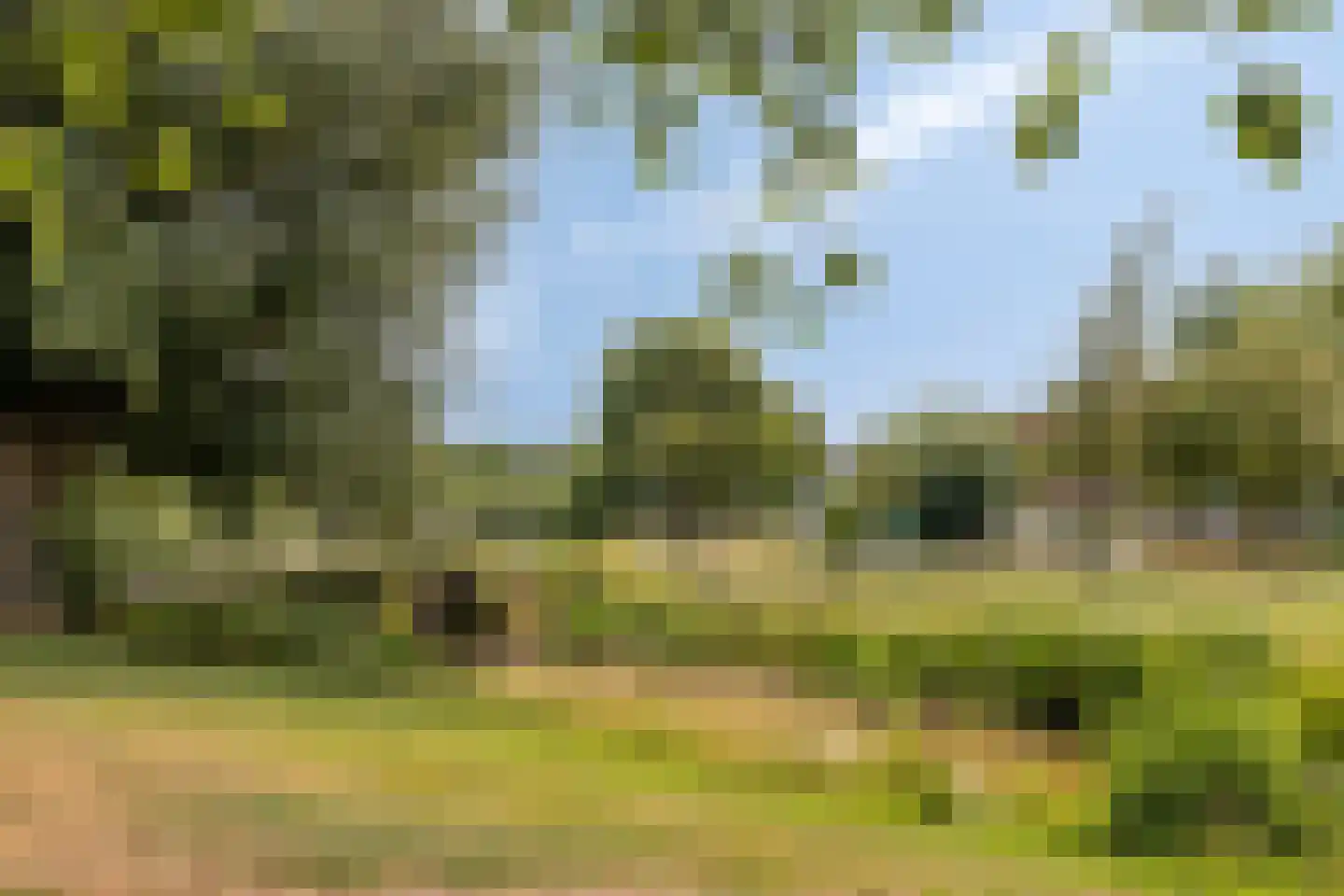 Iepenlaan 47 Duiven thumbnail 58