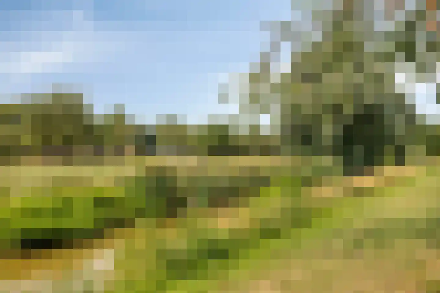 Iepenlaan 47 Duiven thumbnail 59