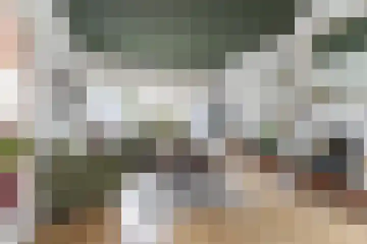 Iepenlaan 48 Dordrecht thumbnail 8