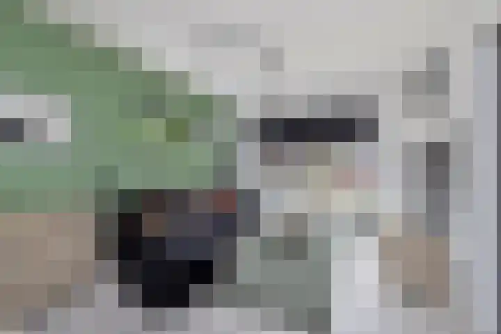 Iepenlaan 48 Wieringerwaard thumbnail 10