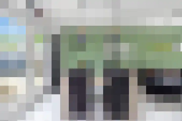 Iepenlaan 48 Wieringerwaard thumbnail 12