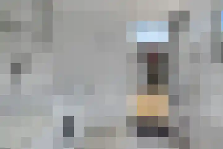 Iepenlaan 48 Wieringerwaard thumbnail 16