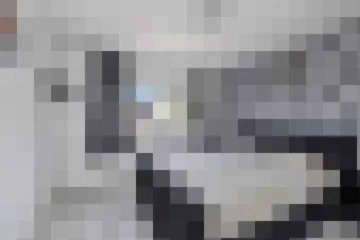 Iepenlaan 48 Wieringerwaard thumbnail 20