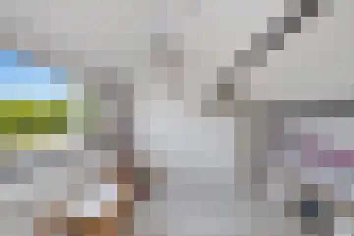 Iepenlaan 48 Wieringerwaard thumbnail 5