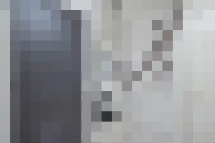 Iepenlaan 48 Wieringerwaard thumbnail 8