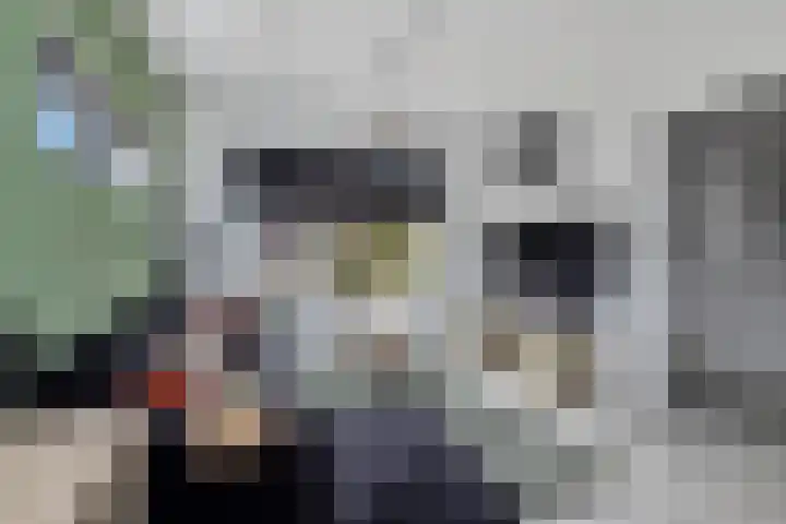 Iepenlaan 48 Wieringerwaard thumbnail 9