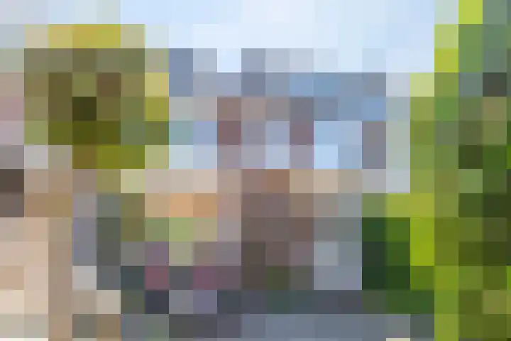 Iepenlaan 49 Castricum thumbnail 13