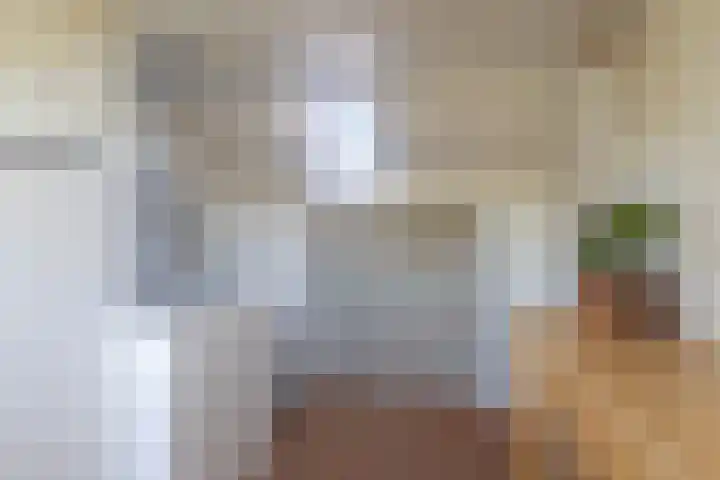 Iepenlaan 49 Castricum thumbnail 24