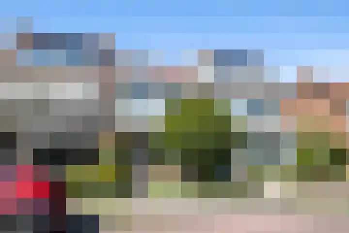 Iepenlaan 49 Castricum thumbnail 27
