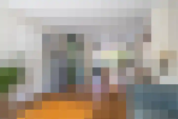 Iepenlaan 49 Castricum thumbnail 7