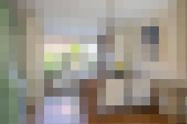 Iepenlaan 49 Castricum thumbnail 8