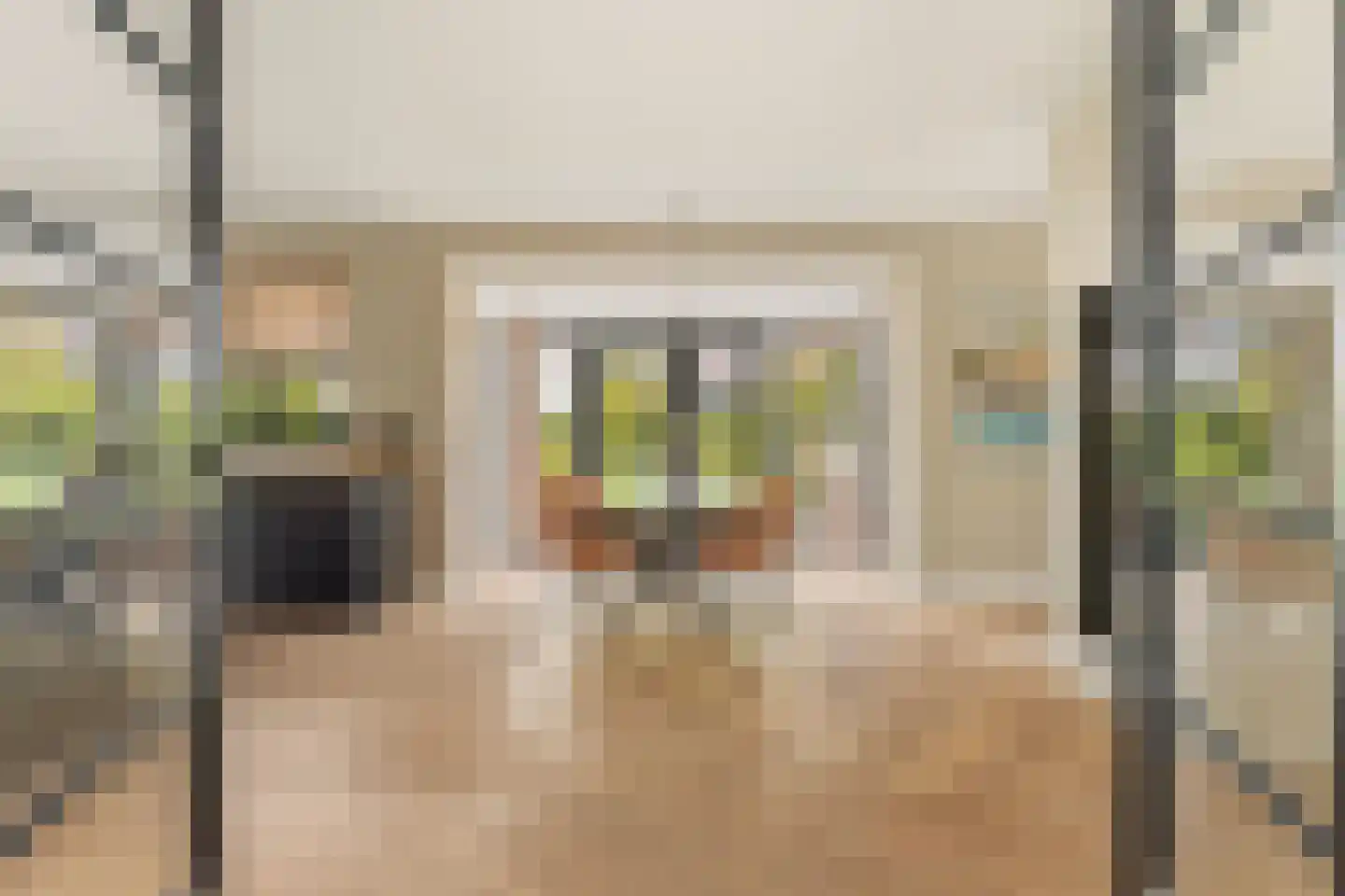 Iepenlaan 5 De Kwakel thumbnail 10