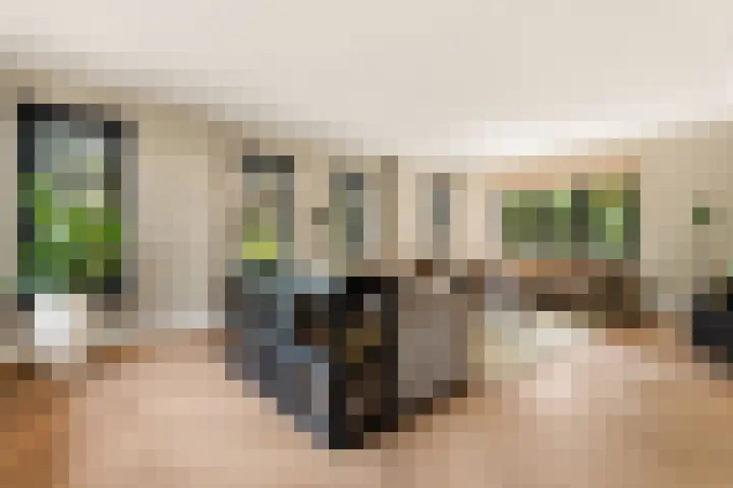 Iepenlaan 5 De Kwakel thumbnail 12