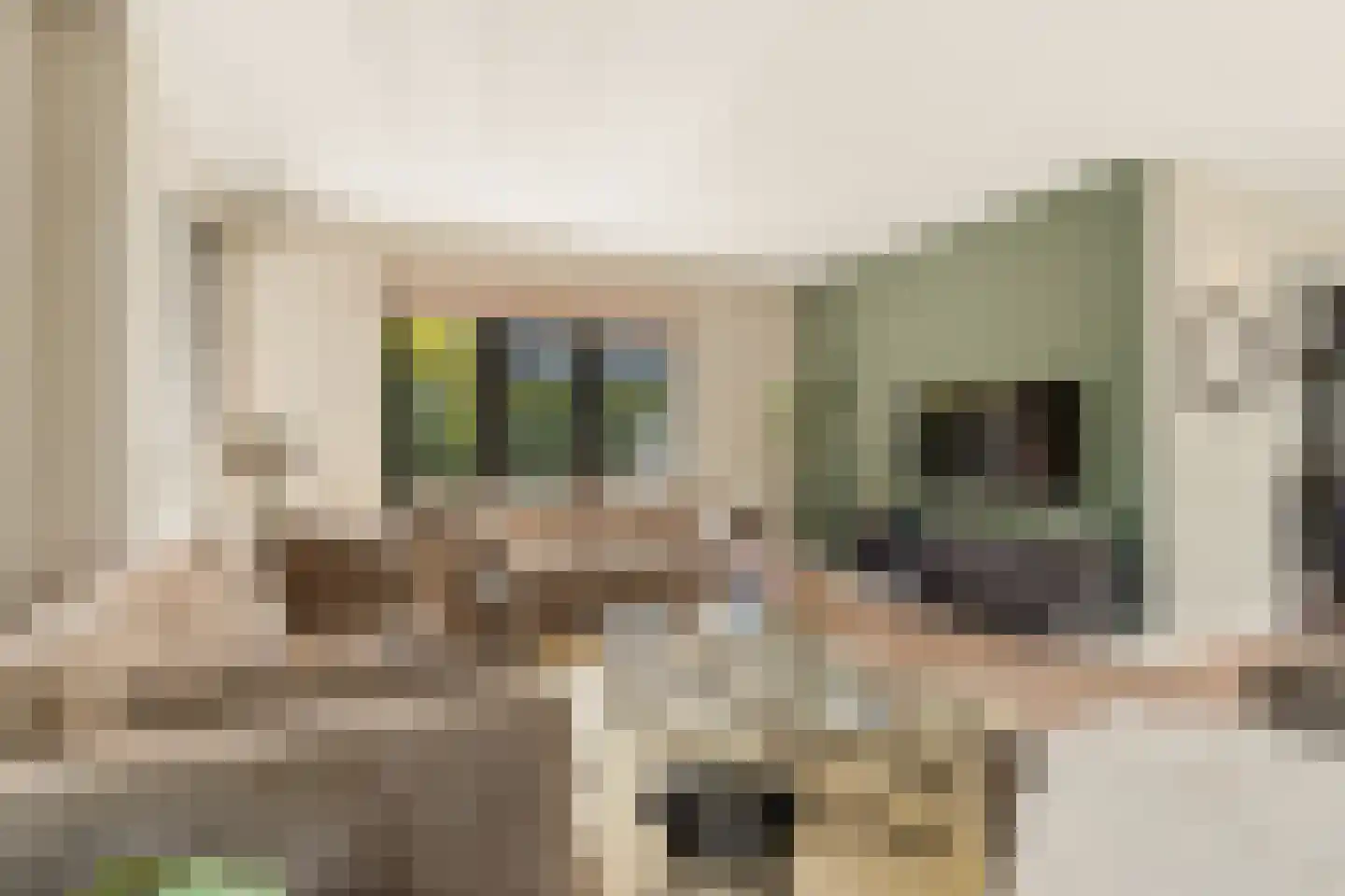Iepenlaan 5 De Kwakel thumbnail 13