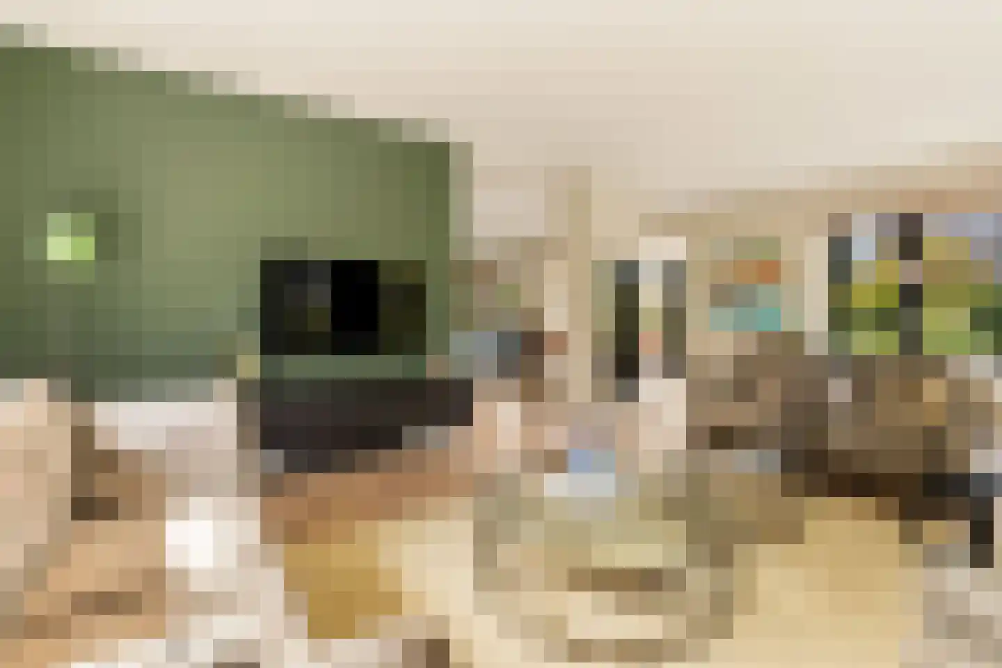 Iepenlaan 5 De Kwakel thumbnail 14
