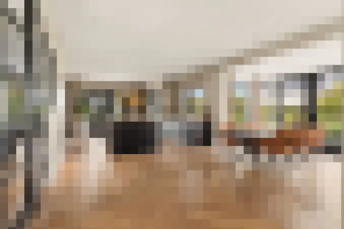 Iepenlaan 5 De Kwakel thumbnail 18