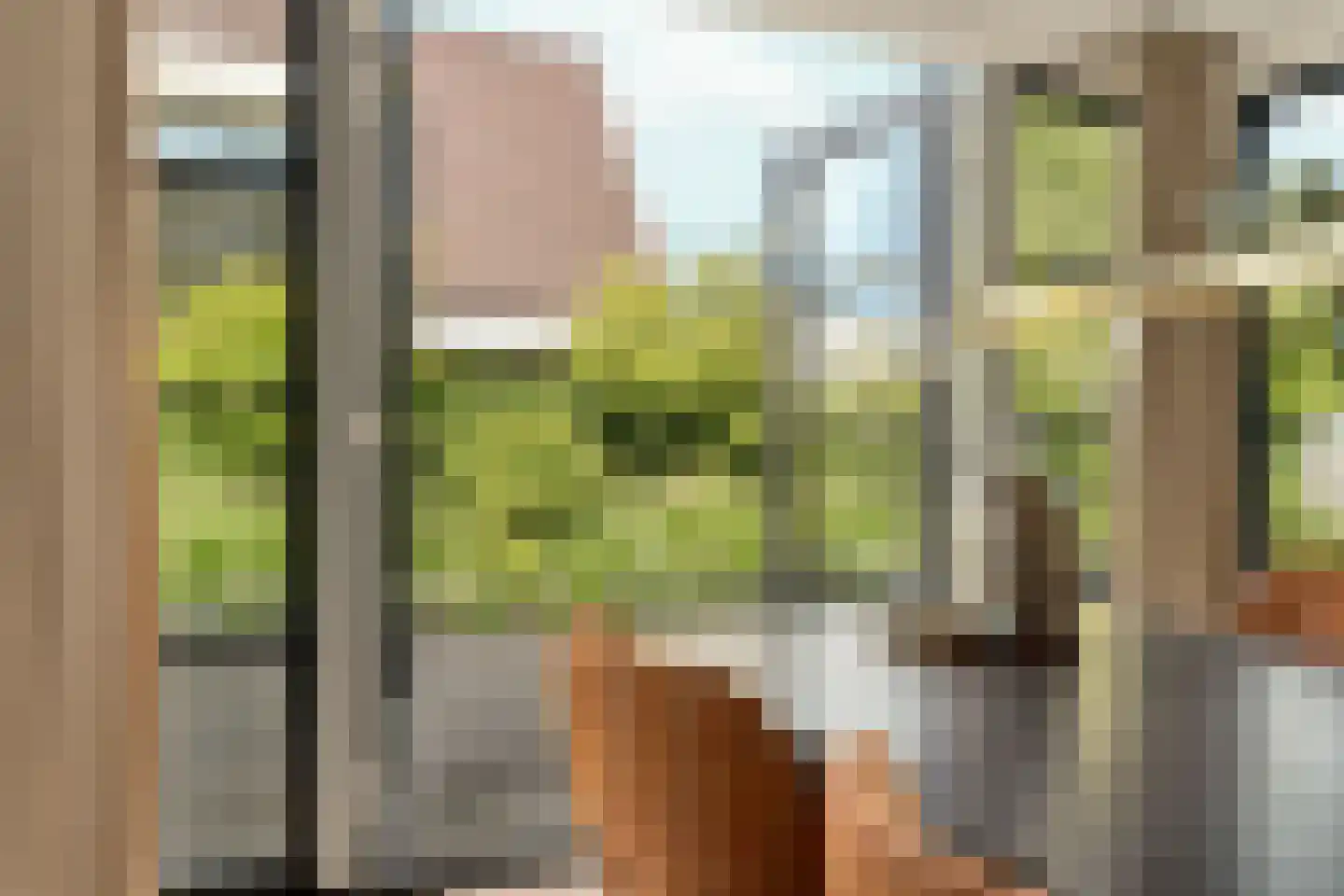 Iepenlaan 5 De Kwakel thumbnail 20