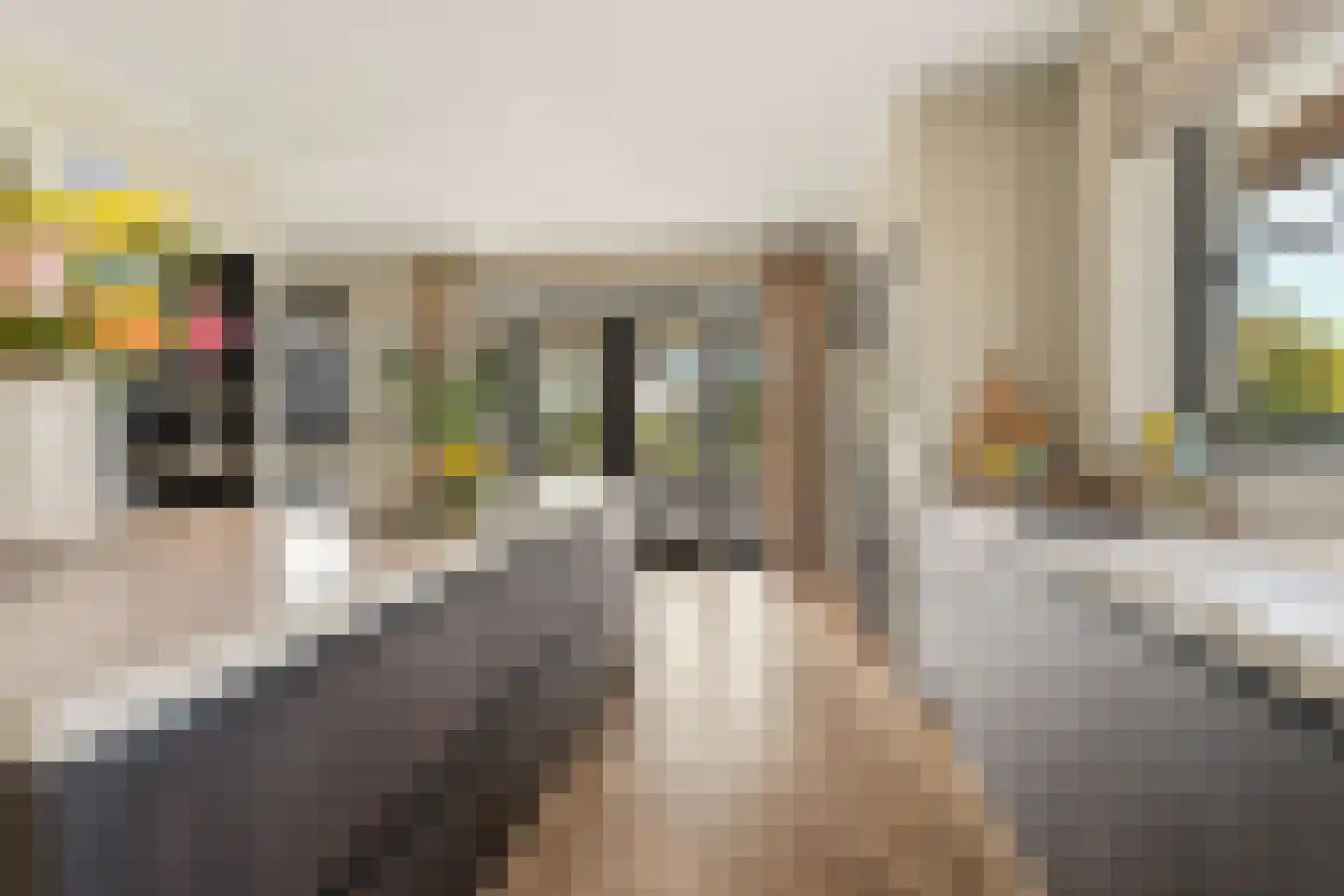 Iepenlaan 5 De Kwakel thumbnail 22