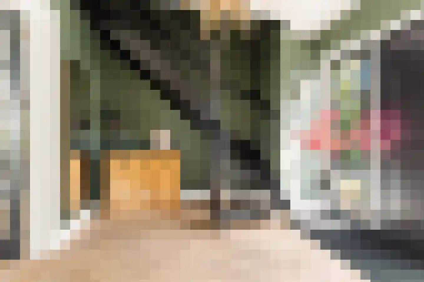 Iepenlaan 5 De Kwakel thumbnail 29