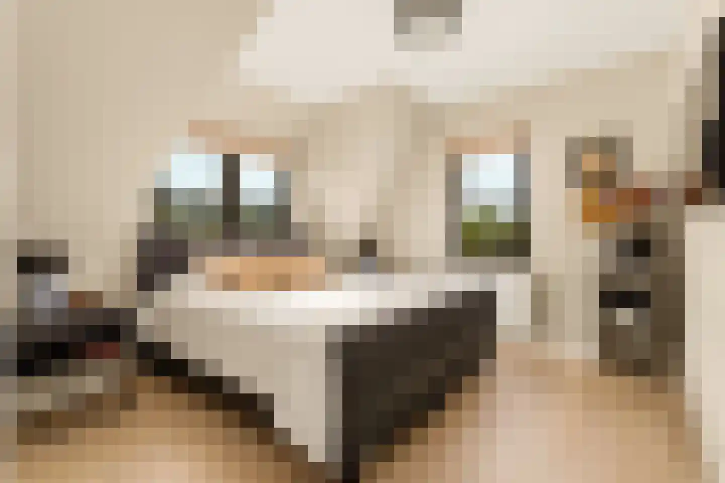 Iepenlaan 5 De Kwakel thumbnail 31