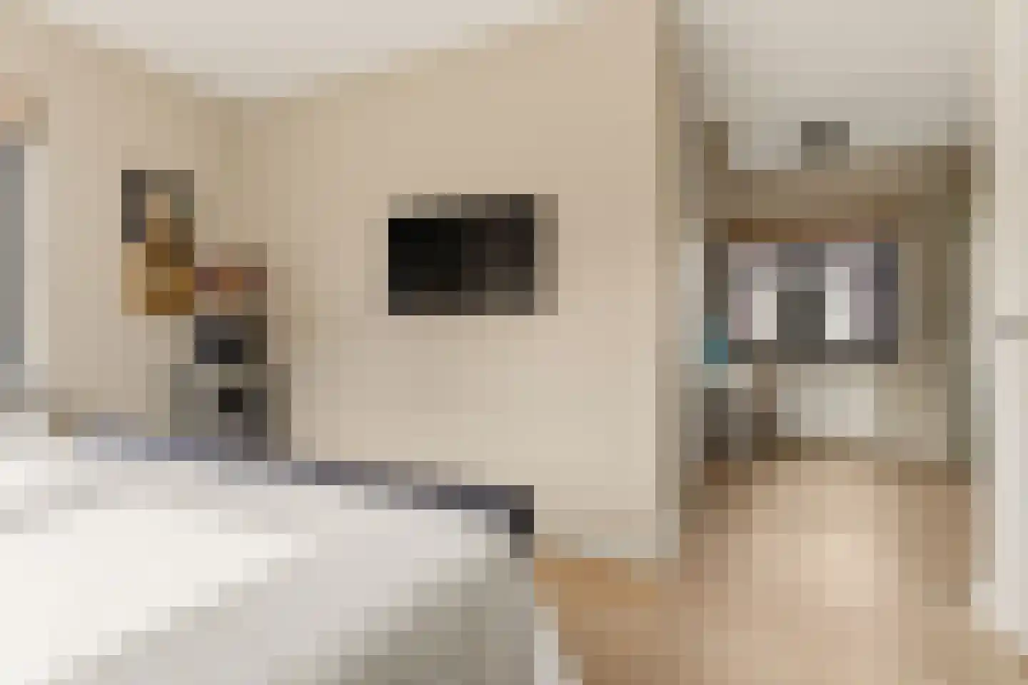 Iepenlaan 5 De Kwakel thumbnail 33