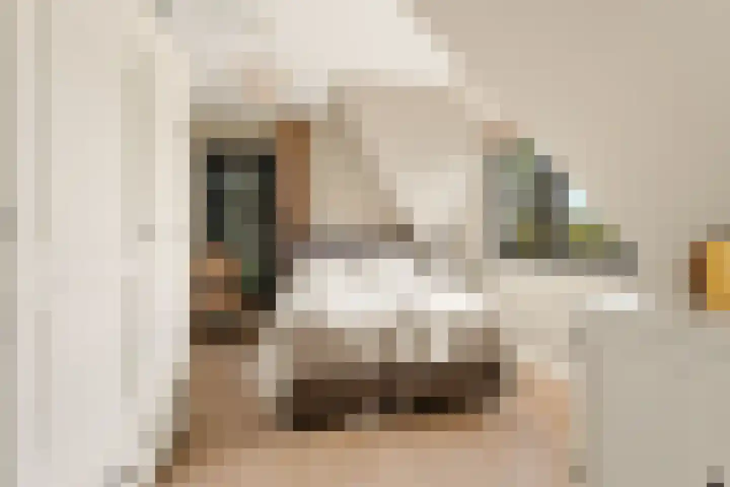 Iepenlaan 5 De Kwakel thumbnail 36