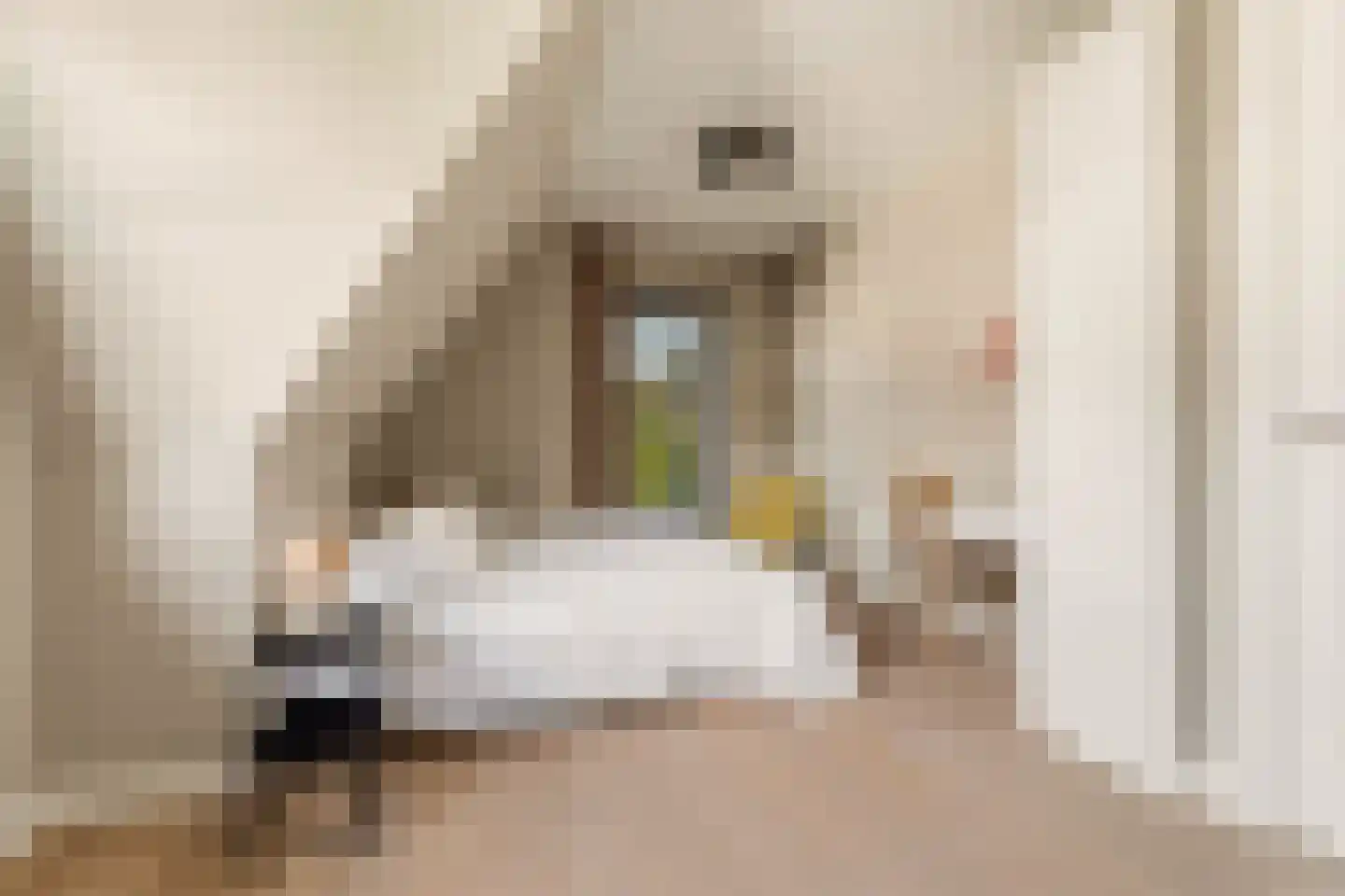 Iepenlaan 5 De Kwakel thumbnail 39