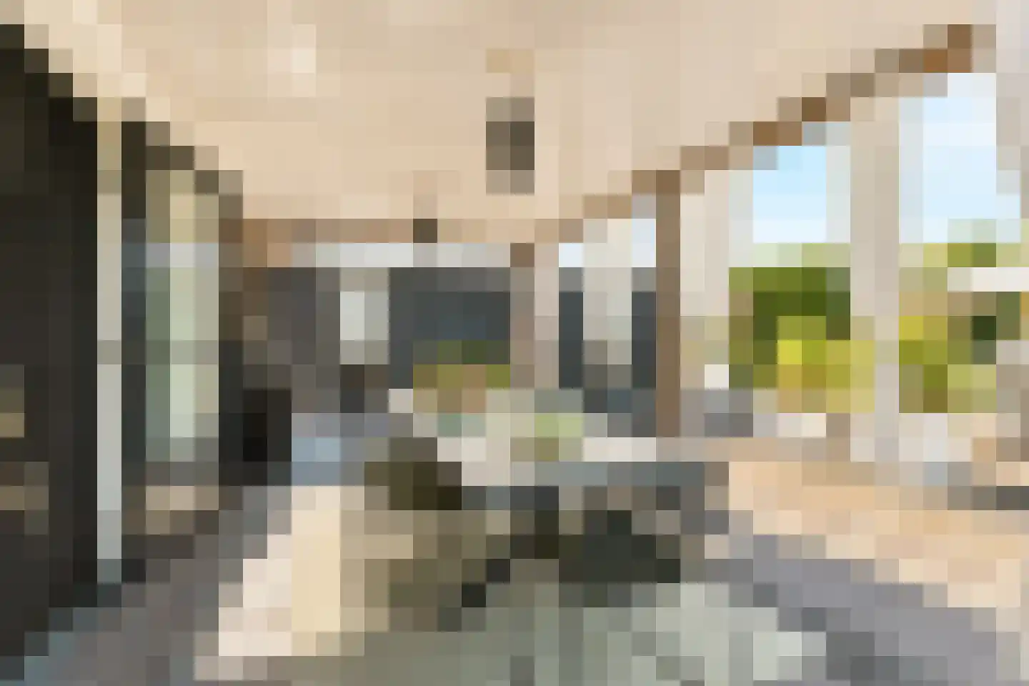 Iepenlaan 5 De Kwakel thumbnail 4