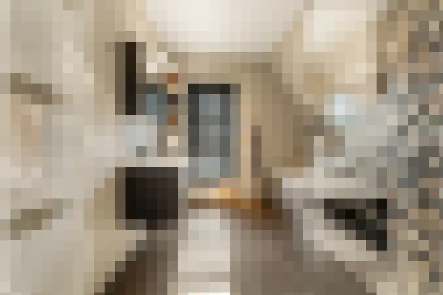 Iepenlaan 5 De Kwakel thumbnail 42