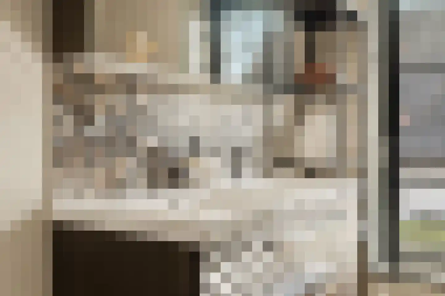Iepenlaan 5 De Kwakel thumbnail 43