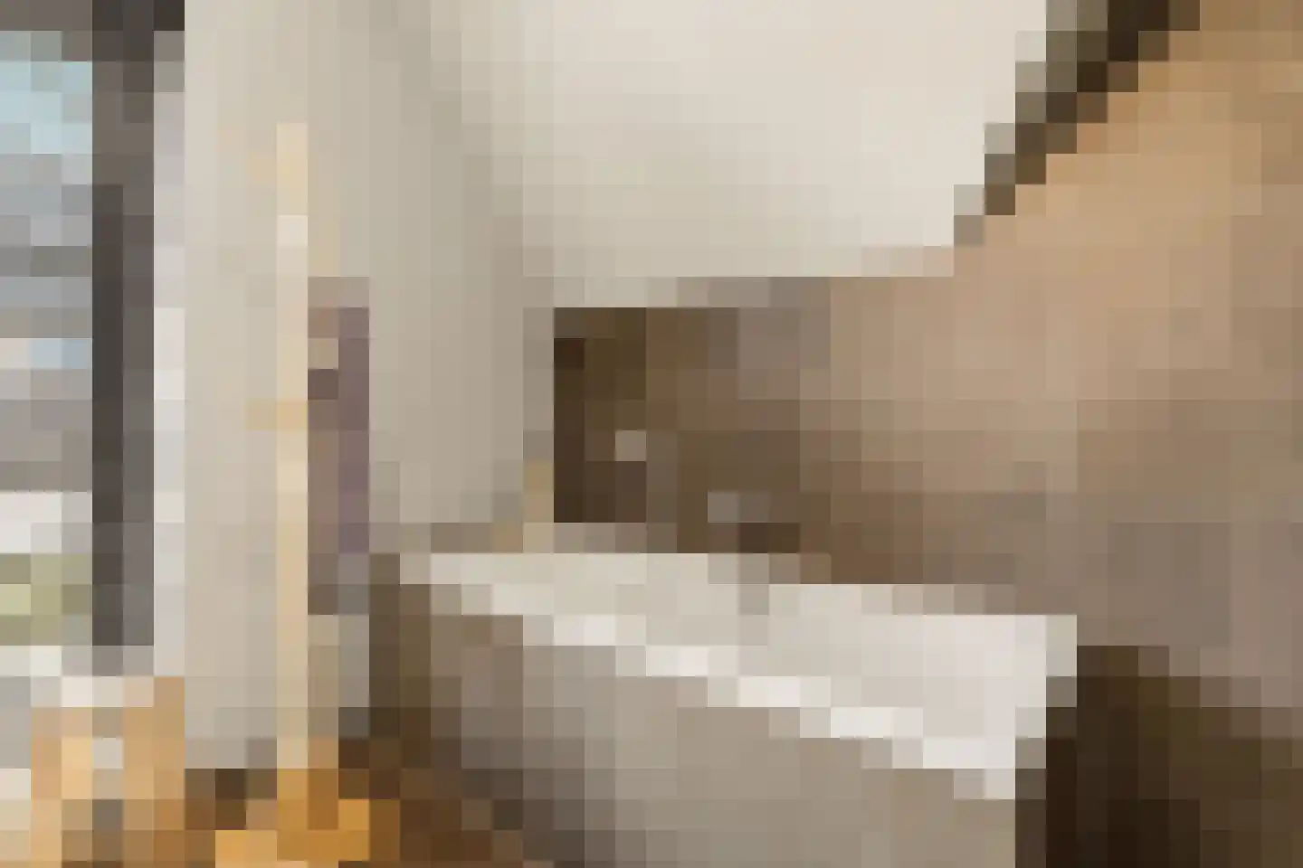 Iepenlaan 5 De Kwakel thumbnail 44