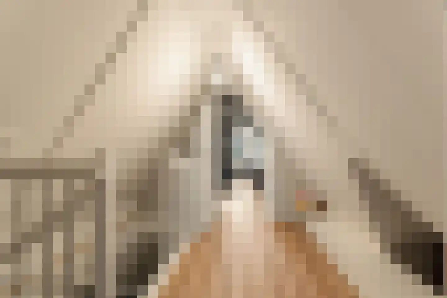 Iepenlaan 5 De Kwakel thumbnail 48