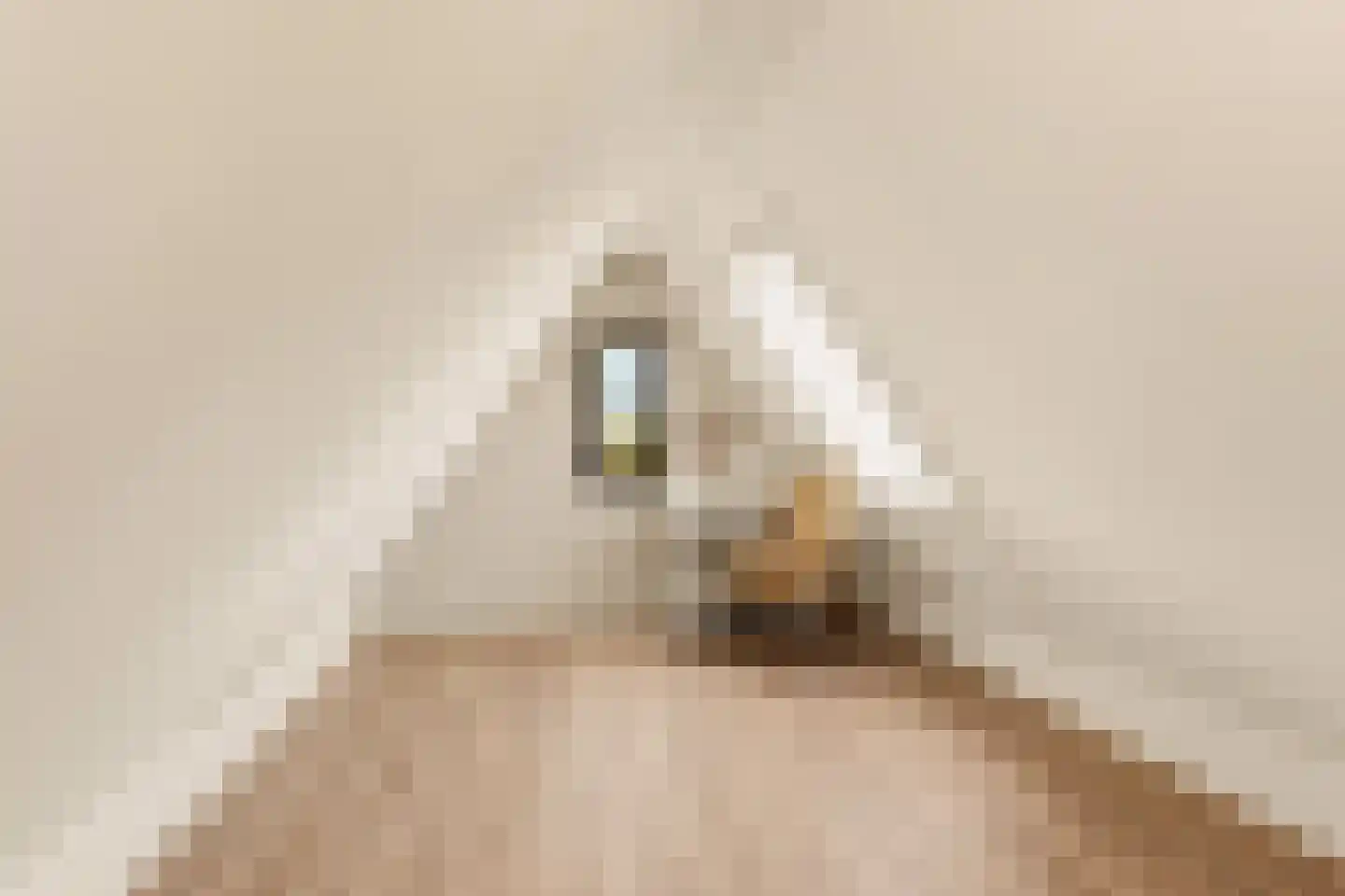 Iepenlaan 5 De Kwakel thumbnail 49