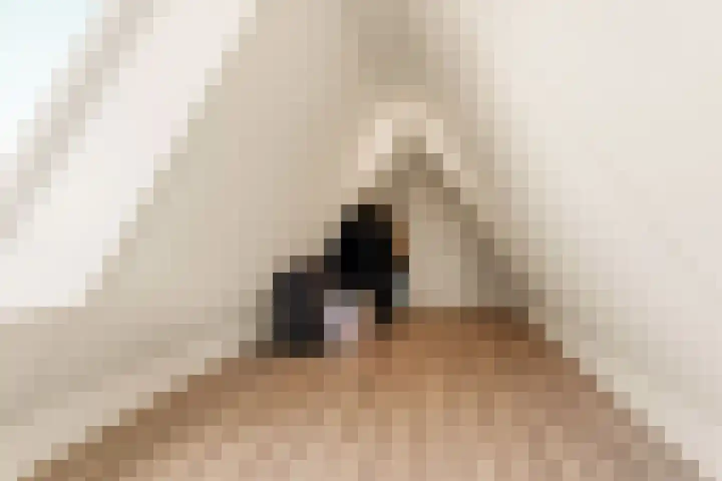 Iepenlaan 5 De Kwakel thumbnail 50