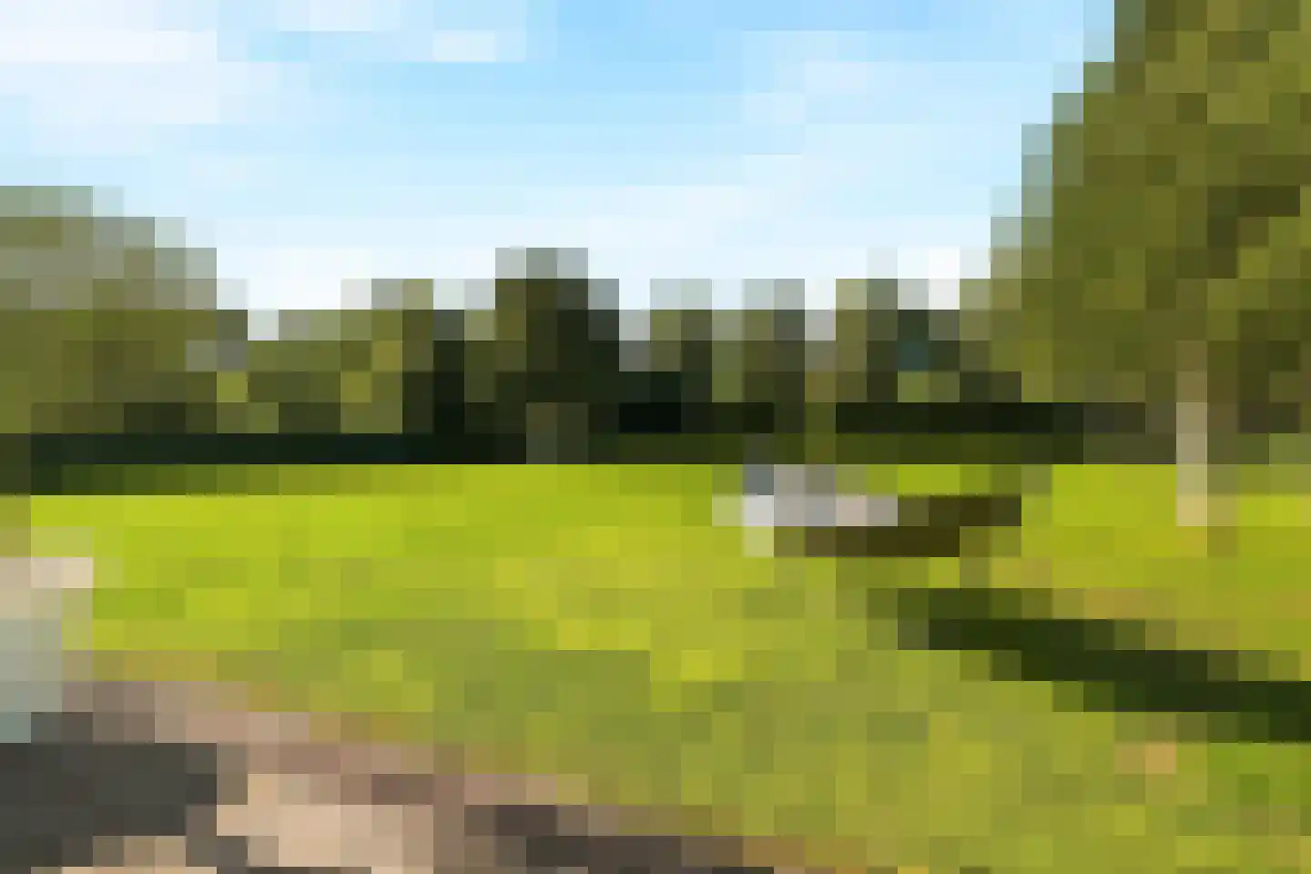 Iepenlaan 5 De Kwakel thumbnail 61