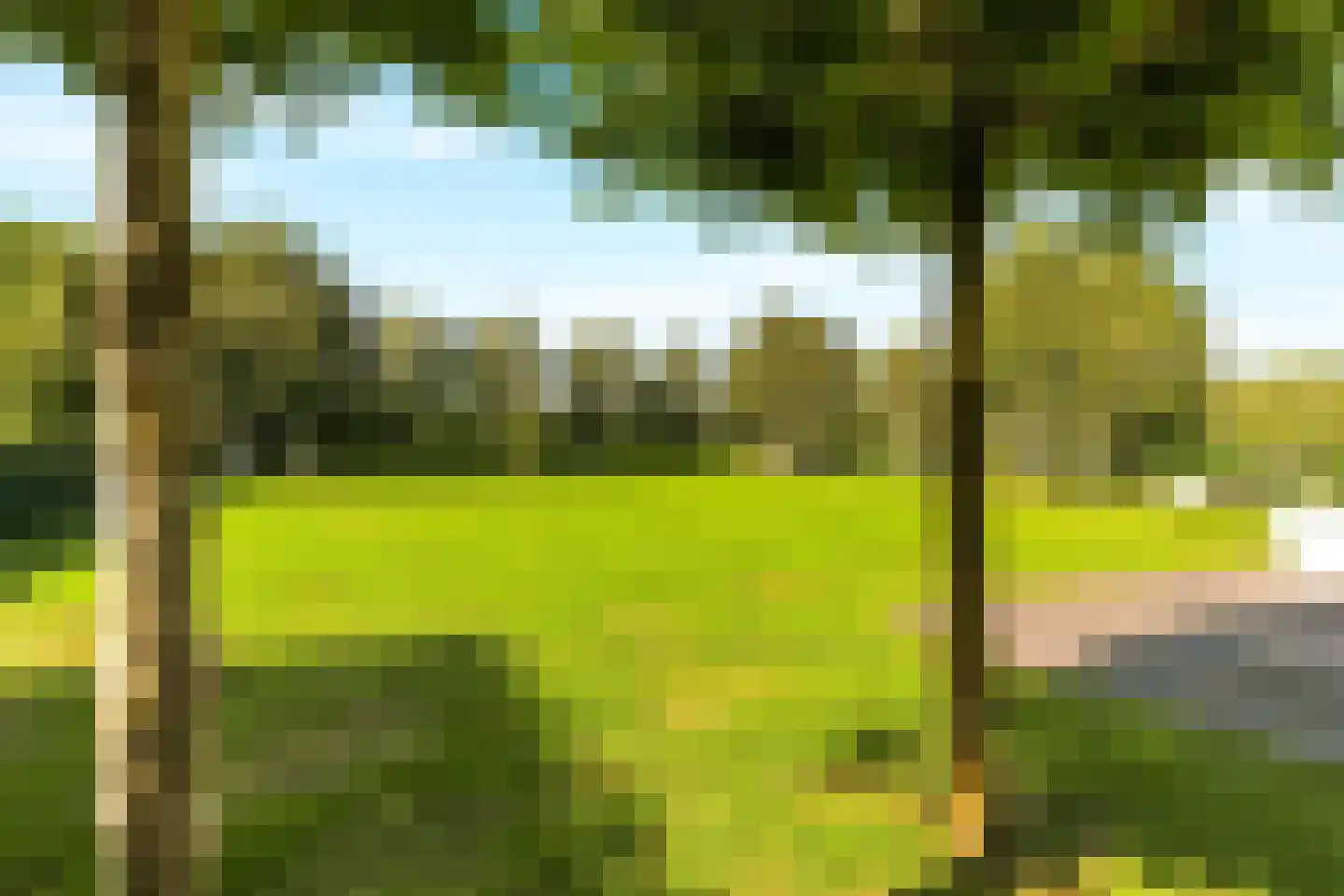 Iepenlaan 5 De Kwakel thumbnail 62