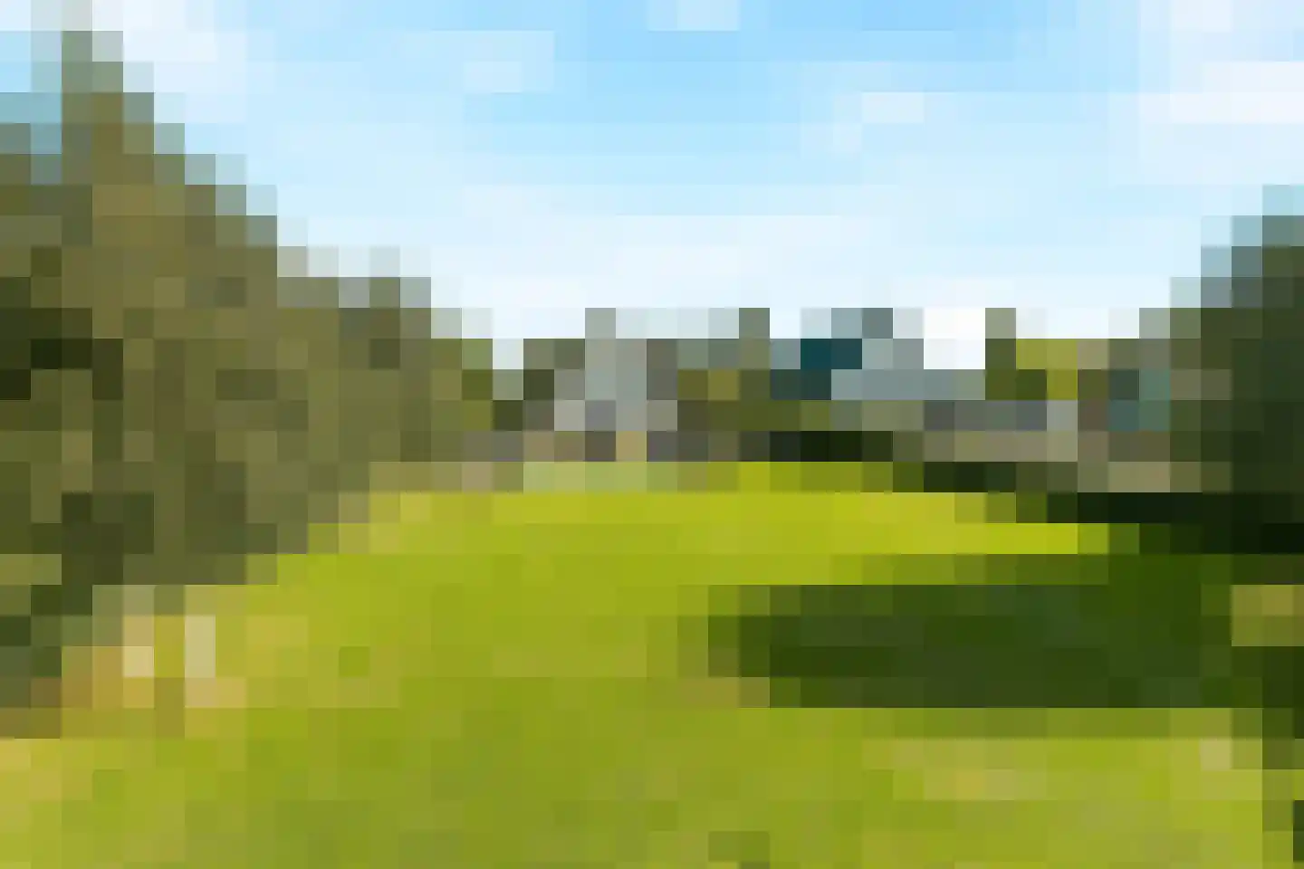 Iepenlaan 5 De Kwakel thumbnail 63