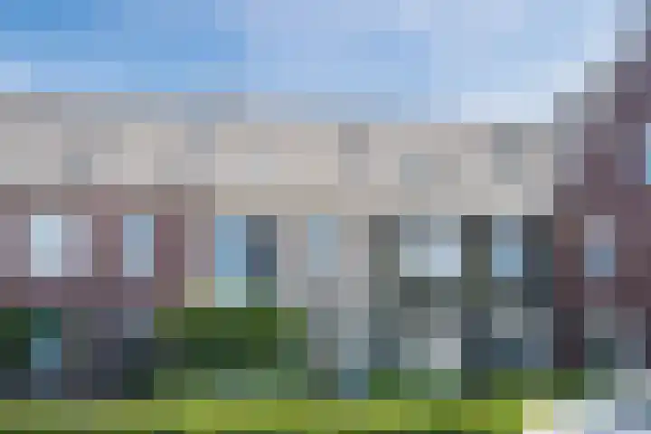 Iepenlaan 5 Dirksland foto 3