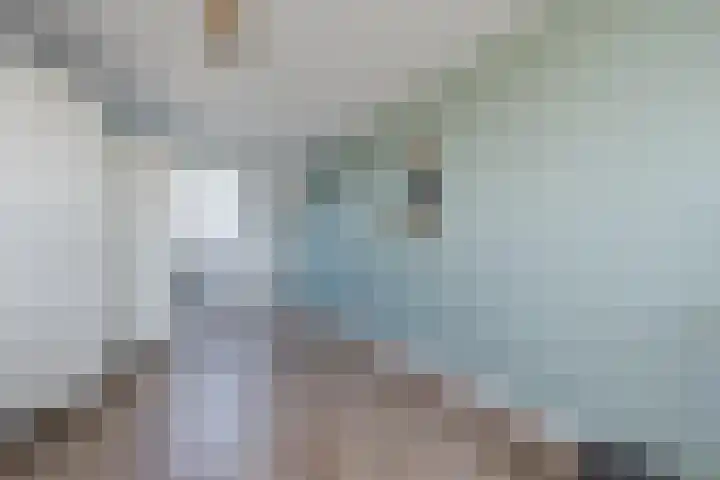 Iepenlaan 5 Dirksland thumbnail 38