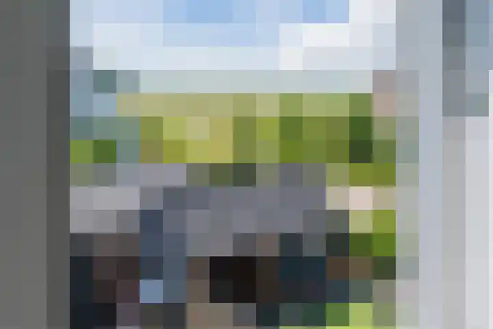 Iepenlaan 5 Dirksland thumbnail 42
