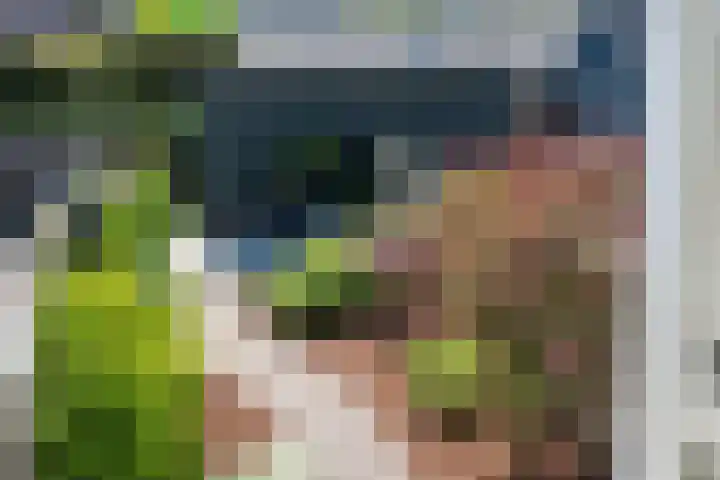 Iepenlaan 5 Dirksland thumbnail 43