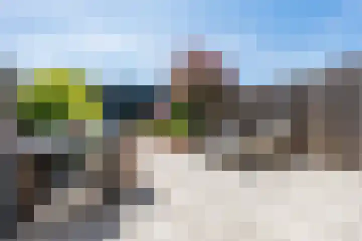 Iepenlaan 5 Dirksland thumbnail 45