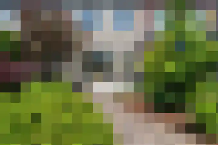 Iepenlaan 5 Dirksland thumbnail 48