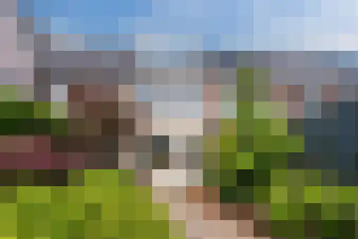 Iepenlaan 5 Dirksland thumbnail 49