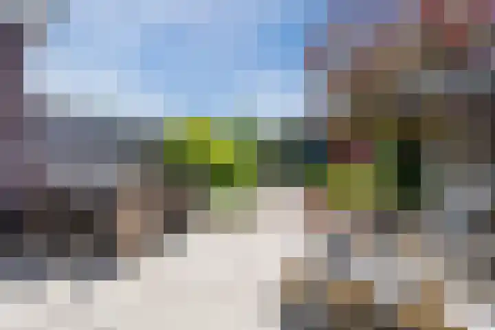 Iepenlaan 5 Dirksland thumbnail 8