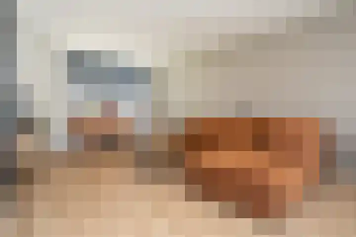 Iepenlaan 5 Wierden thumbnail 12