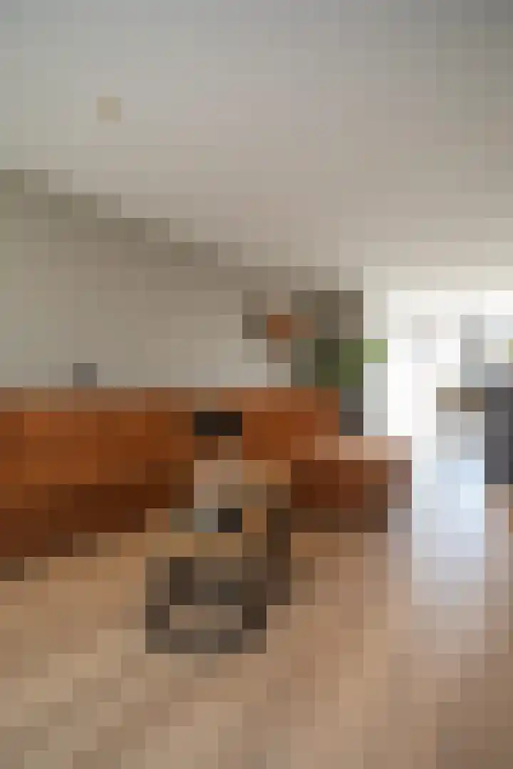 Iepenlaan 5 Wierden thumbnail 15